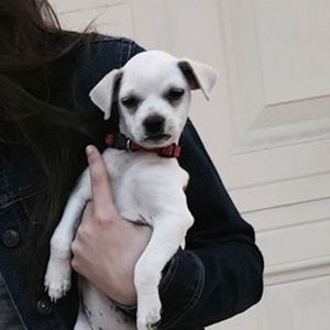 Meet your Posher, Grace